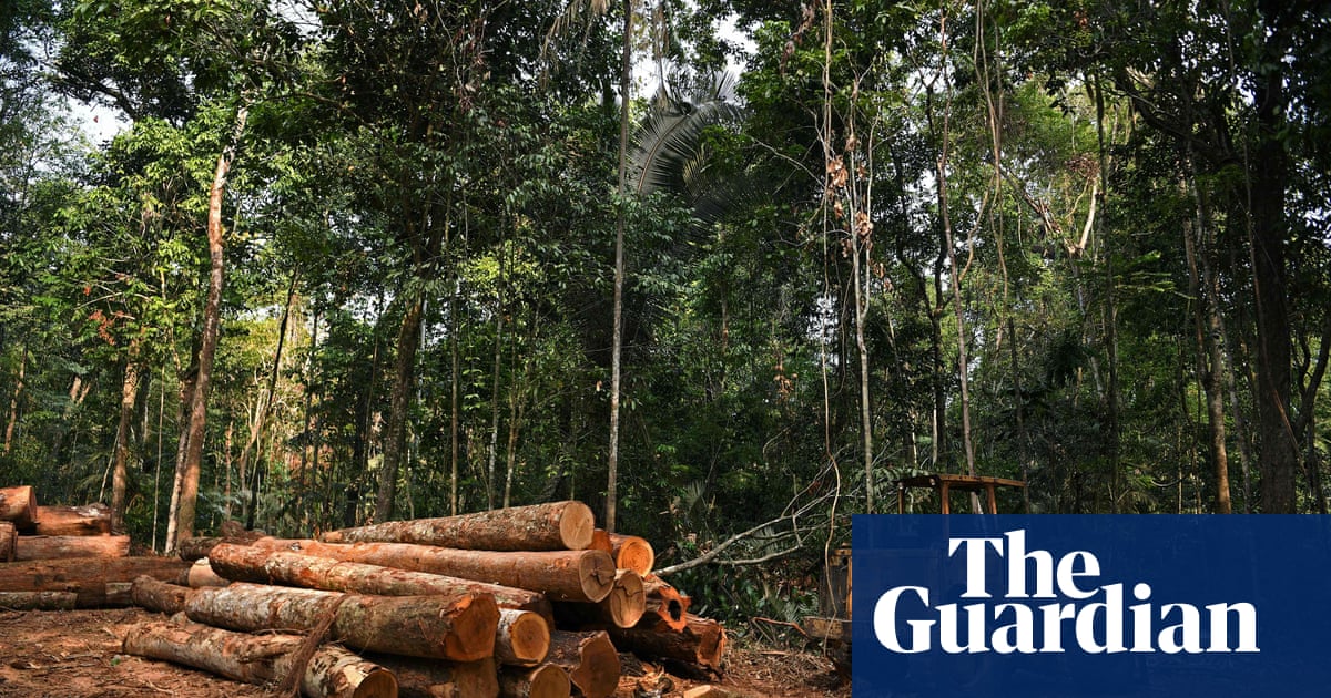 Nuevo estudio vincula a las principales marcas de moda con la deforestación del Amazonas
