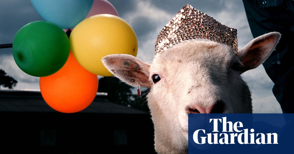 Hello again, Dolly: 20 years on, cloned sheep gets a new display | Science  | The Guardian