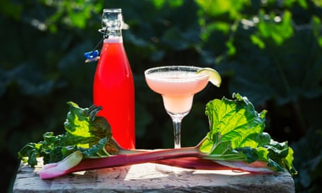 Fresh rhubarb, a drinking glass and a glass bottle with a pink drink: a rhubarb cocktail