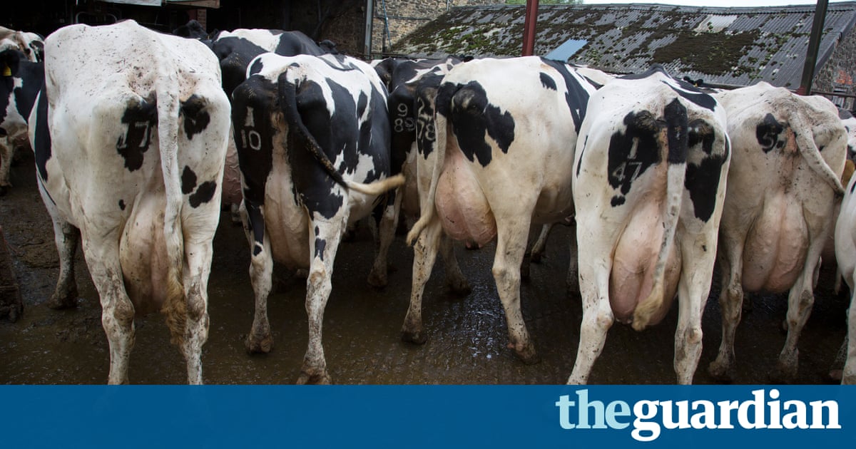 the environmental environmental impact of eating beef and dairy products the environmental environmental impact of eating beef and dairy products