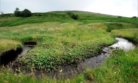 Geltsdale RSPB reserve in the North Pennines.