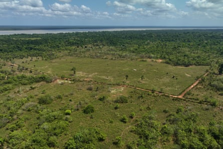 View of cleared land and forest