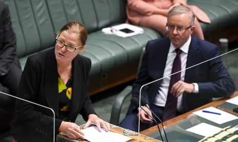 Anthony Albanese listens as Labor member for Parramatta Julie Owens announces her retirement