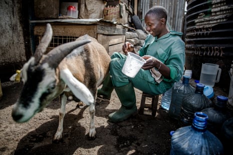Kevin Uduny with Tin Tin the goat, on the Huruma Town Youth Group farm 