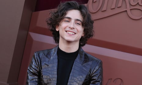 ‘Lovely to hear Timothée is charmed’: Hull basks in actor’s review of ...