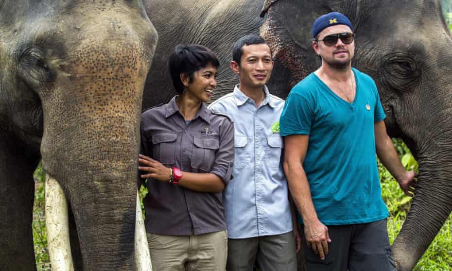 Leonardo DiCaprio poses with Sumatran elephants during his visit to Indonesia