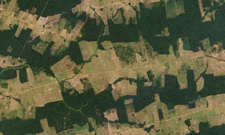 Farms and pastureland carve their way into tropical forestland in the Brazilian State of Rondônia, one of the Amazon’s most deforested regions.