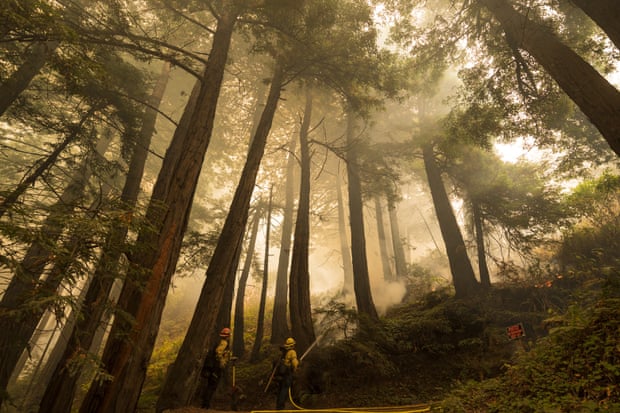 A firefighter shoots an incendiary device during a back burn to help control the Dolan fire at Limekiln state park in Big Sur on 11 September.