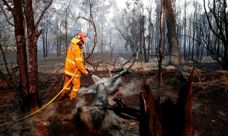 A firefighter works to contain a bushfire near Taree, New South Wales, on Sunday. 