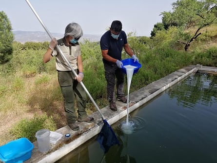 A team led by Dr Jaime Bosch treats a pond with fungicide.