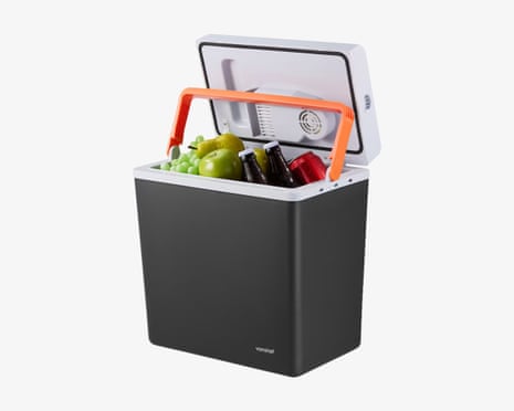 An electric cool box