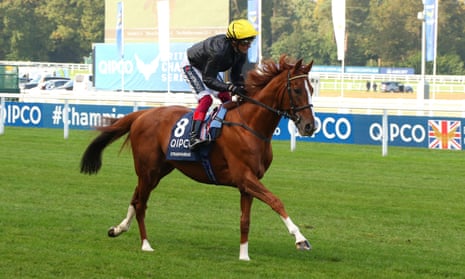 Stradivarius, pictured last October, is still racing and worth a bet for Friday’s Yorkshire Cup