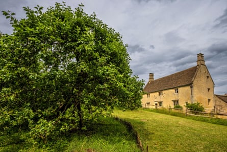 An apple tree at Sir Isaac Newton’s home