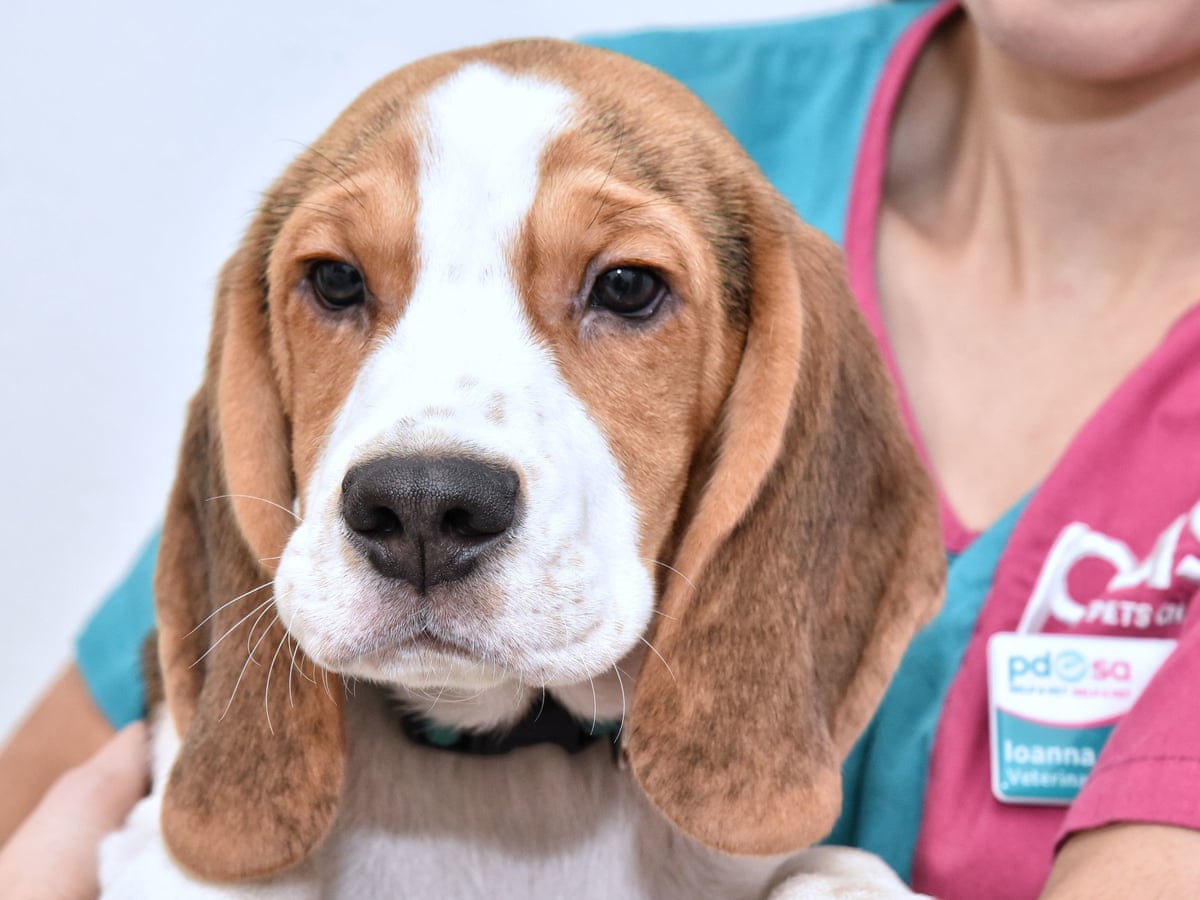 Is The Vets Free On Benefits Is The Vets Free On Benefits
