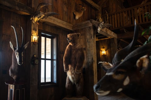 A taxidermy Alaskan brown bear and other animals are among the items displayed in the 6,000-sq-ft lodge at the Ox Ranch near Uvalde, Texas, in May.
