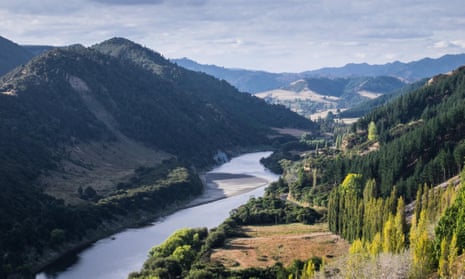 The beautiful landscape of the Whanganui River and surroundings