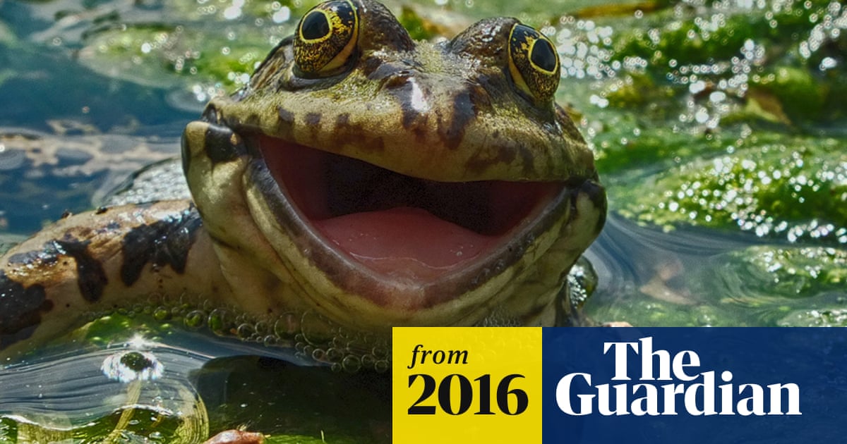 The Comedy Wildlife Photography awards - in pictures