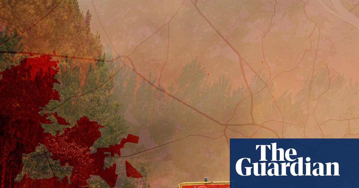 Pine-cone grenades and planet-baking carbon: the French fires 170 years in the making – a visual guide
