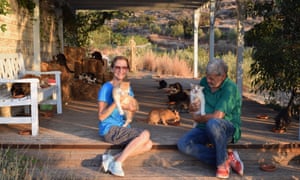 Wanted Cat Whisperer The Job Ad That Went Viral Life