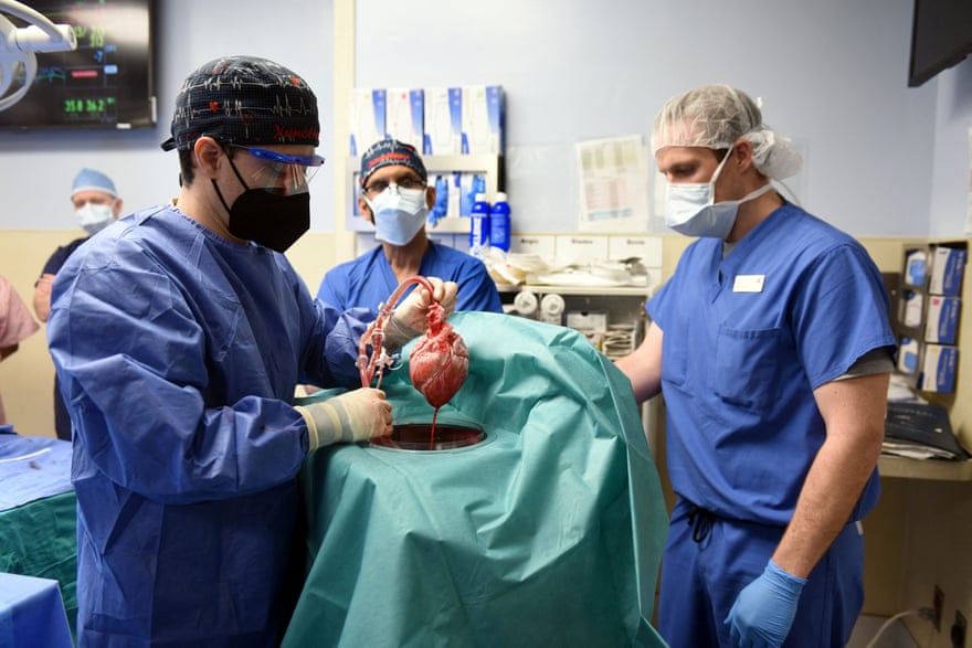 O cirurgião Muhammad M Mohiuddin lidera uma equipe que coloca um coração de porco geneticamente modificado em um dispositivo de armazenamento no laboratório de Xenotransplante antes de seu transplante em David Bennett.