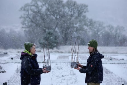 Two women hold seedlings in pots, in a snowy environment.