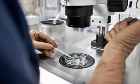 Process of in vitro fertilisation in a laboratory