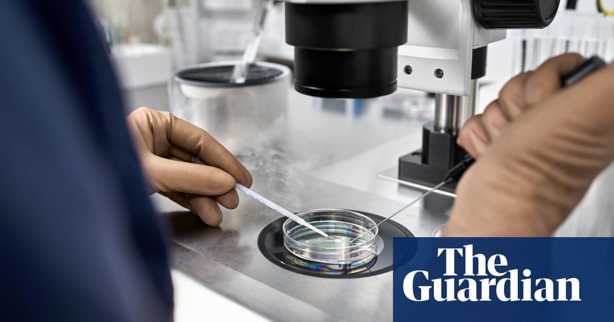 Medical calamity': dozens of Dutch sperm donors fathered at least 25 children