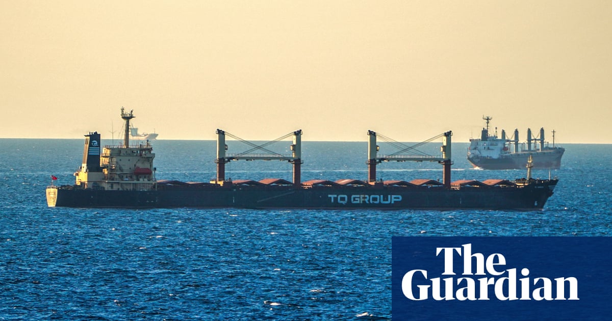 Egypt calls on Vladimir Putin to revive Black Sea grain deal