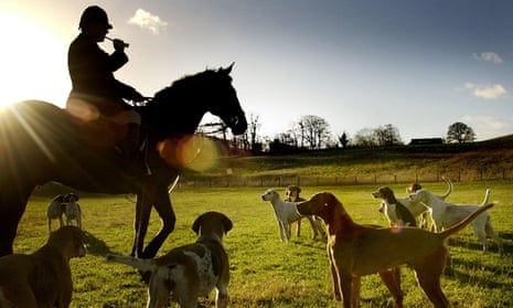 Hounds being called for the start of the Buccleuch hunt.