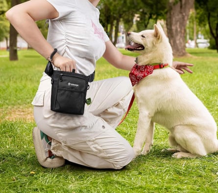 Gobi 4 Cup Treat Pouch