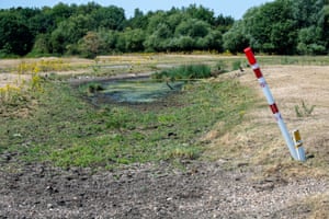 The Roundmoor Ditch stream normally used by cattle to drink from and cool off in, dries up on Dorney Common. Temperatures in Buckinghamshire were over 40C