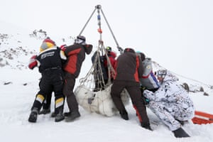 Researchers weigh an anaesthetised Polar bear on Franz Joseph Land in the Arctic Ocean during the Umka 2021 expedition organised by the Russian Geographical Society