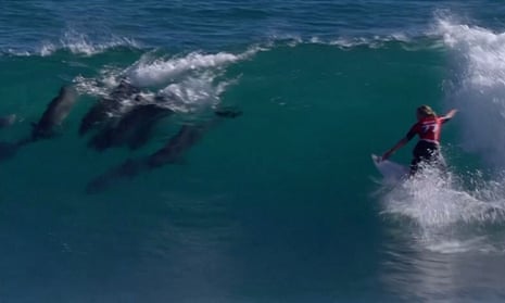 Dolphins ride wave with surfing champion Gabriela Bryan at Margaret River Pro