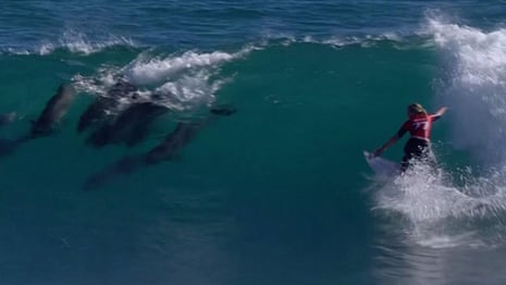 Dolphins ride wave with surfing champion Gabriela Bryan at Margaret River Pro – video 