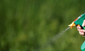 Farmers spray 200m pounds of weedkiller on crops, including corn, soybeans, wheat and oats, every year.
