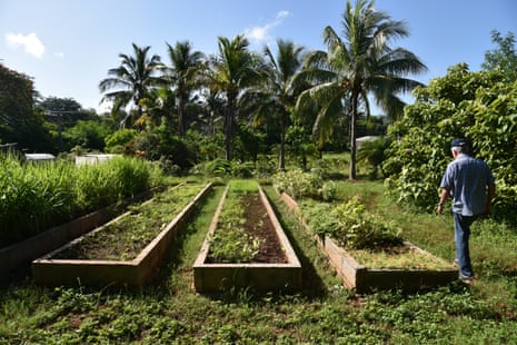 Organic farmer Miguel Angel Salcines inspects vegetable planting beds at the 25-hectare Alamar farm. Cuban growers often plant organic crops in terrace-like beds because of past chemical contamination of soil.