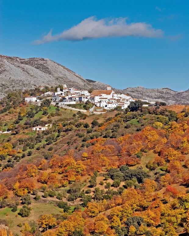 Los Castaños, Cartajima