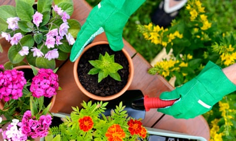 Gardening can boost your sense of wellbeing
