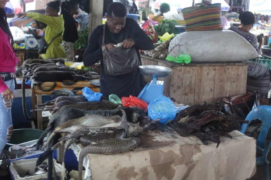 A market selling pangolin and other bushmeat in Gabon, March 2020.