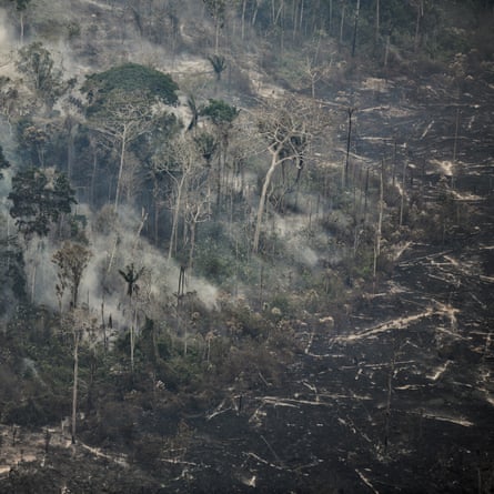 Aerial view of an area affected by wildfire in the Amazon jungle in Ucayali region in Peru on 17 September 2024.