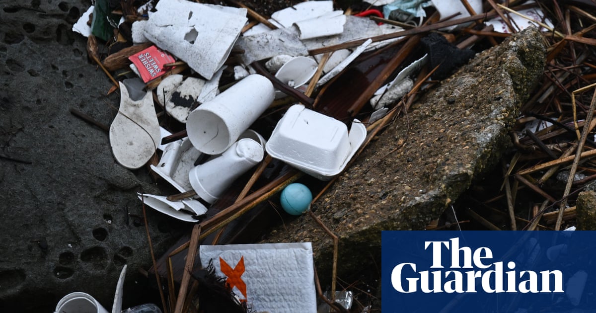 www.theguardian.com