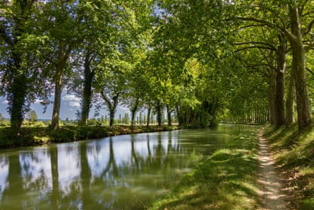 Cruise with your canine along the Canal du Midi.