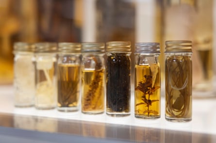Specimens at the herbarium.