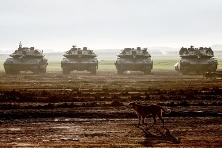 A dog walks near Israeli battle tanks
