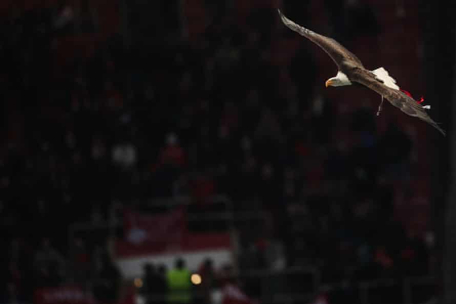 Benfica's mascot eagle