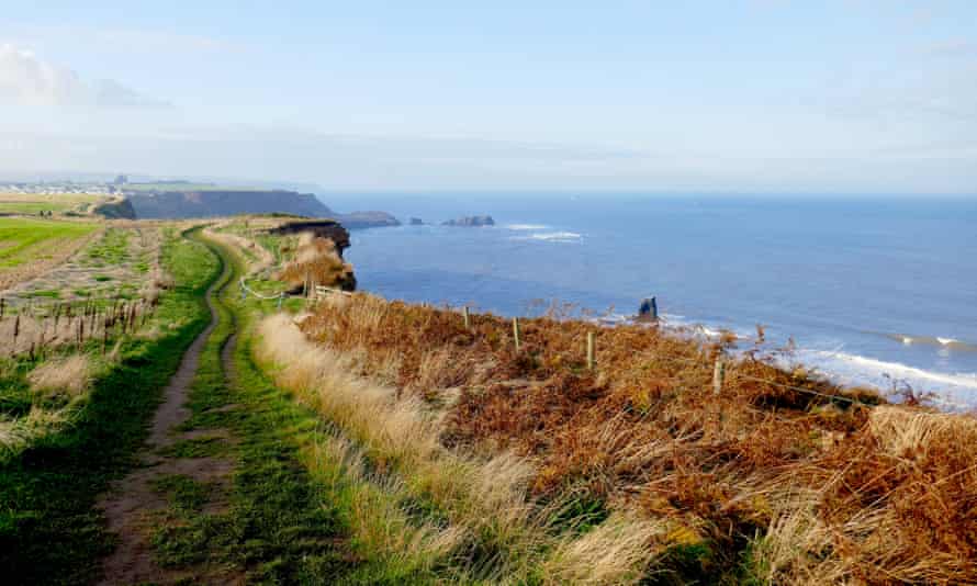 The coast path looking back towards Whitby.