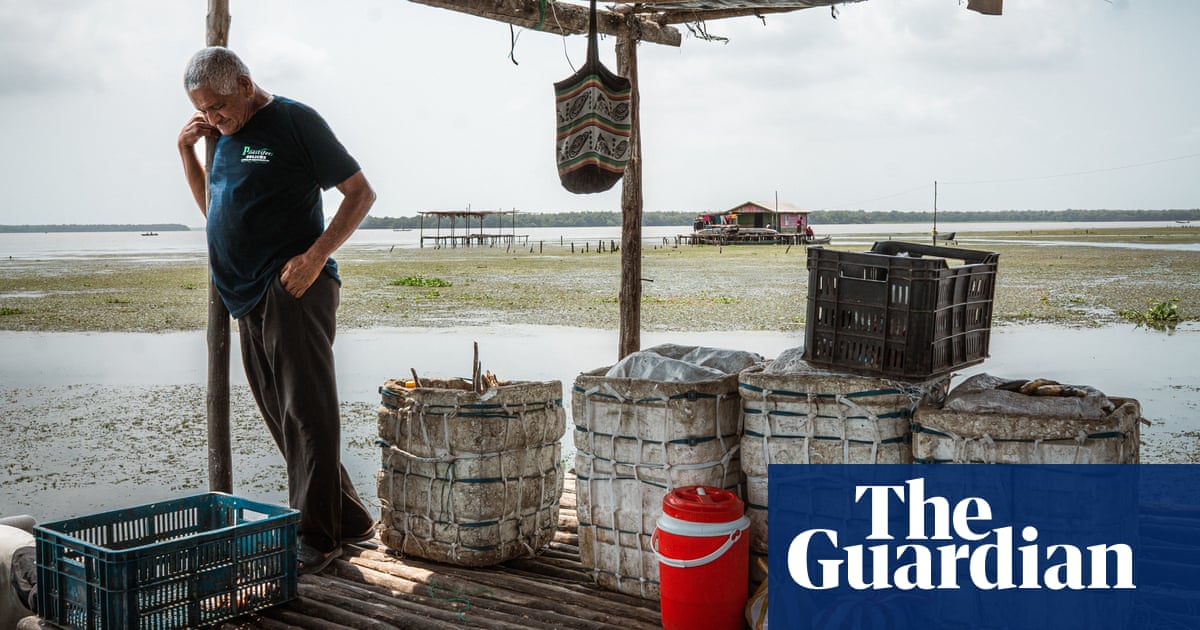 No fish, no money, no food': Colombia's stilt people fight to save their wetlands