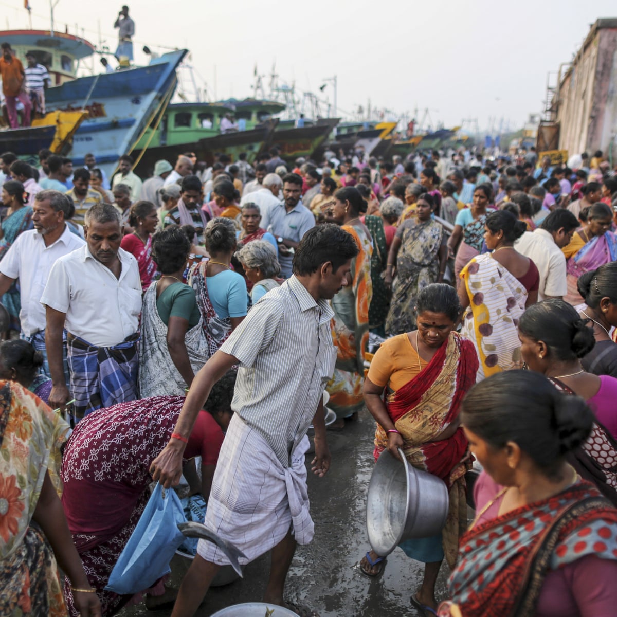 Bay Of Bengal Depleted Fish Stocks And Huge Dead Zone Signal Tipping Point Fishing The Guardian Bay Of Bengal Depleted Fish Stocks And Huge Dead Zone Signal Tipping Point Fishing The Guardian