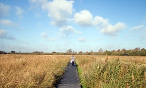 Fen By Daisy Johnson Review An Impressive First Collection