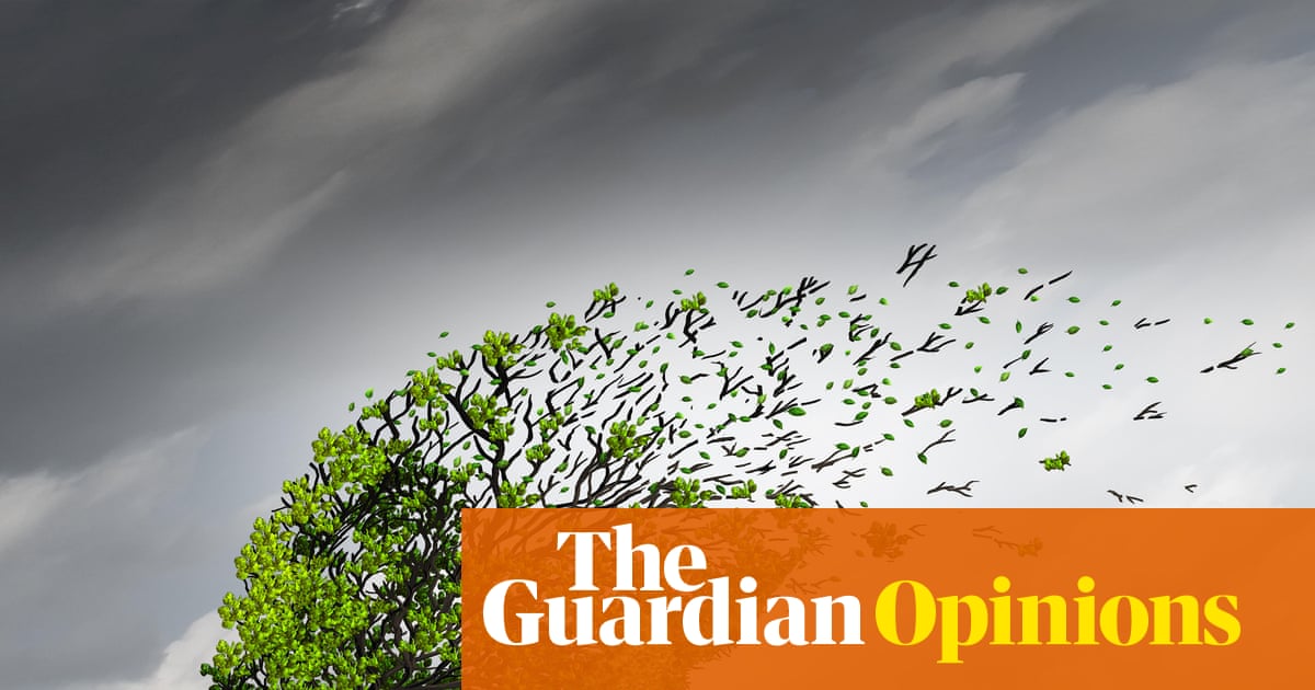 Distressing videos can have a lasting impact here's how to look after yourself in the wake of the Bondi attack | Ahona Guha